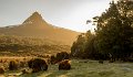 Barn Bluff - Waterfall Valley Sunset